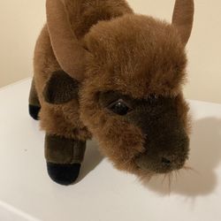 A  Cute little  Bison.