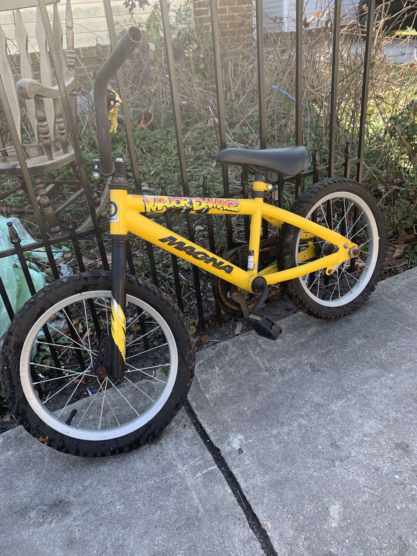 Bicycle Beautiful Size 16