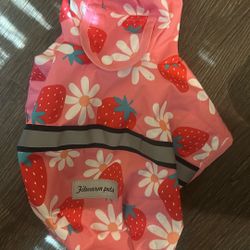 Dog Costumes and Dog Clothes 