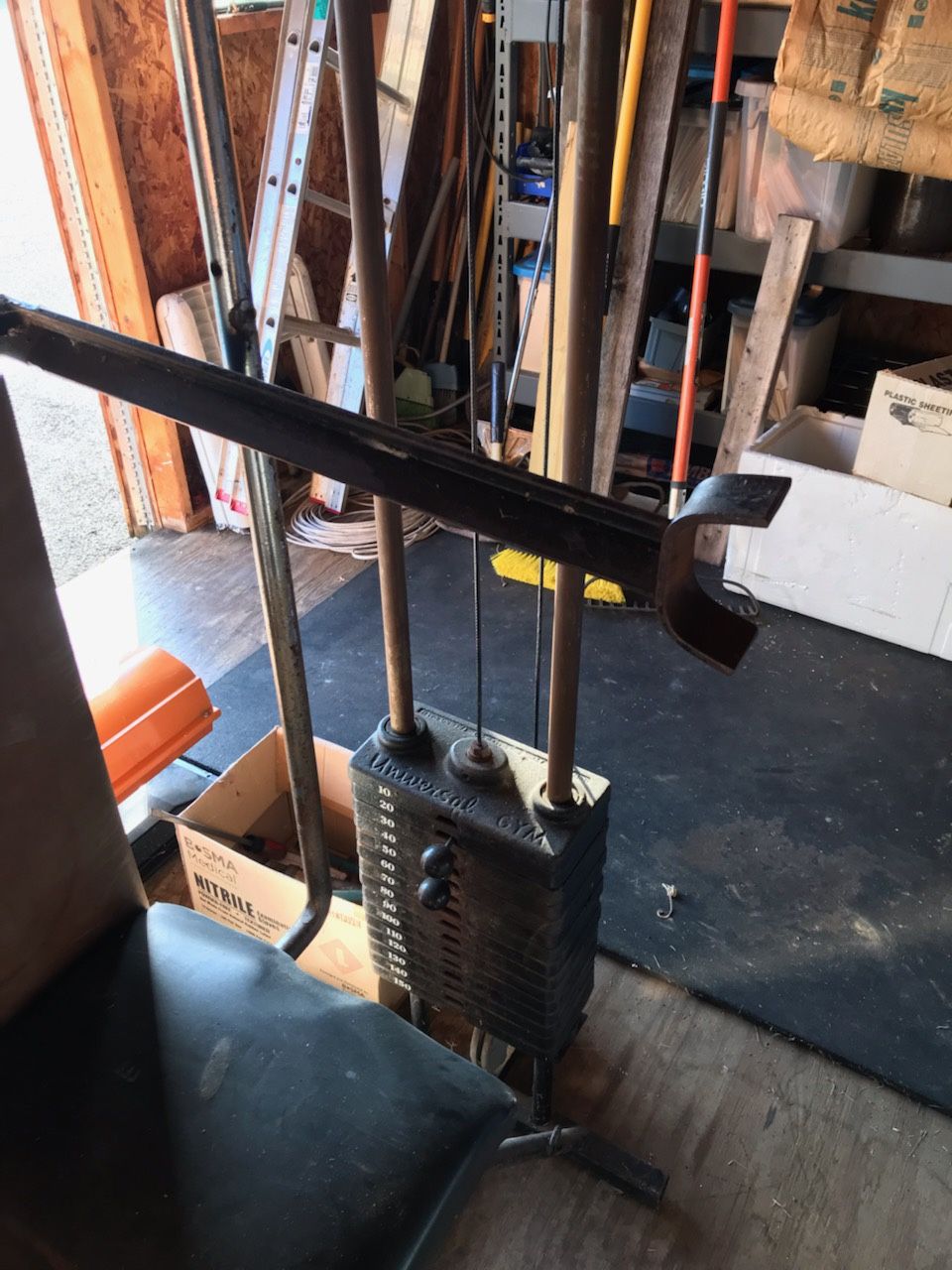 Leg Extension