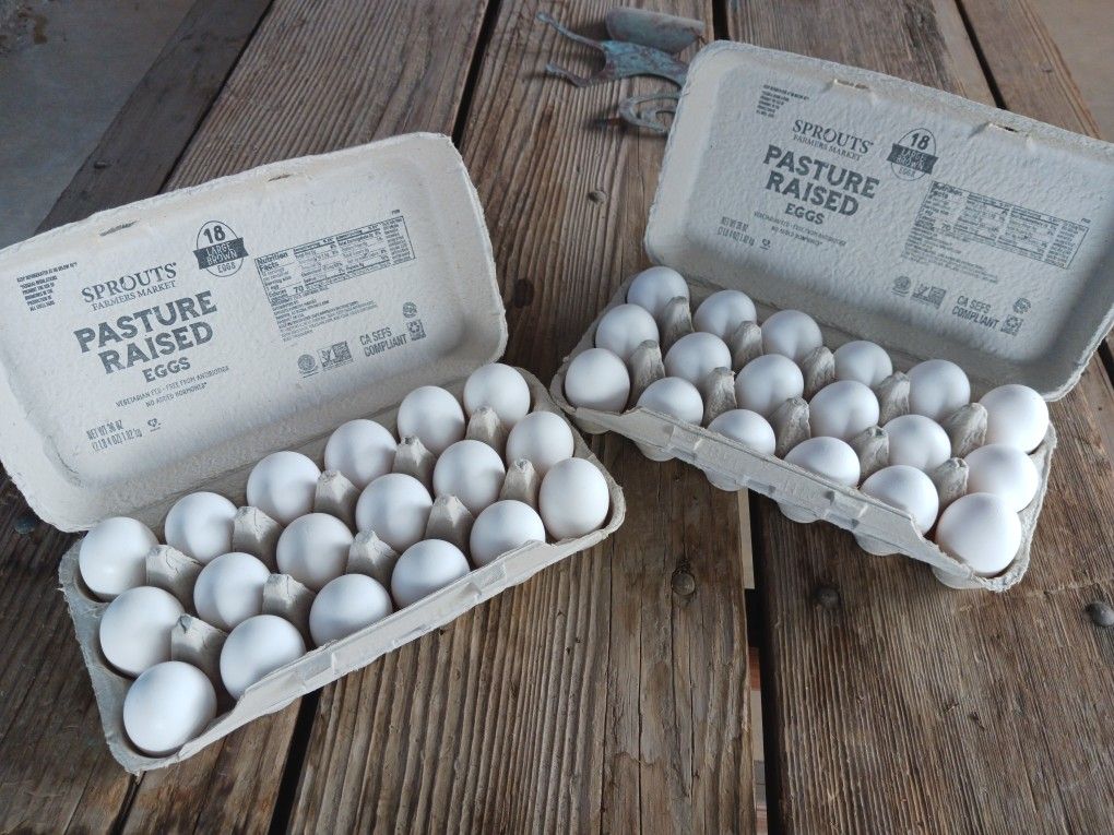 Cage Free Eggs