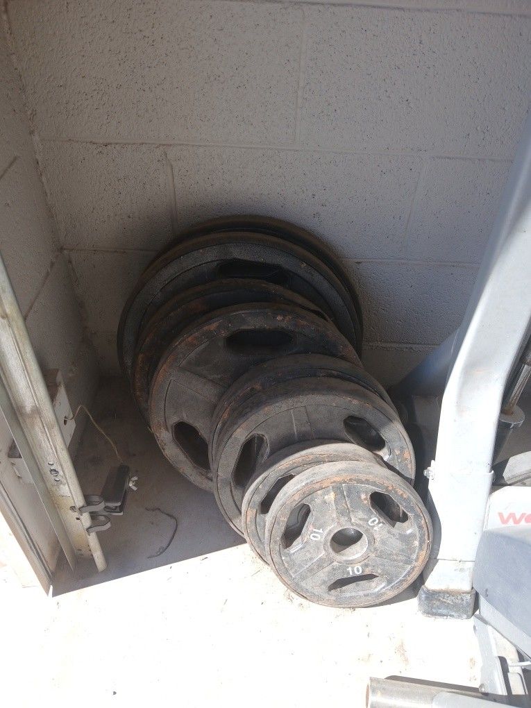 Weights, Bench Bar, Curl Bar.. !!!