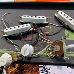 Fender Tex Mex Strat Pickups