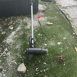 Electric motor for boat