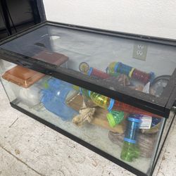 Large Aquarium For Pets