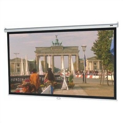 Projector Screen – Wall Mount ($100)