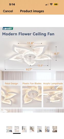Decorative Light w/fan
