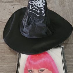 Pink Wig And Witch hat