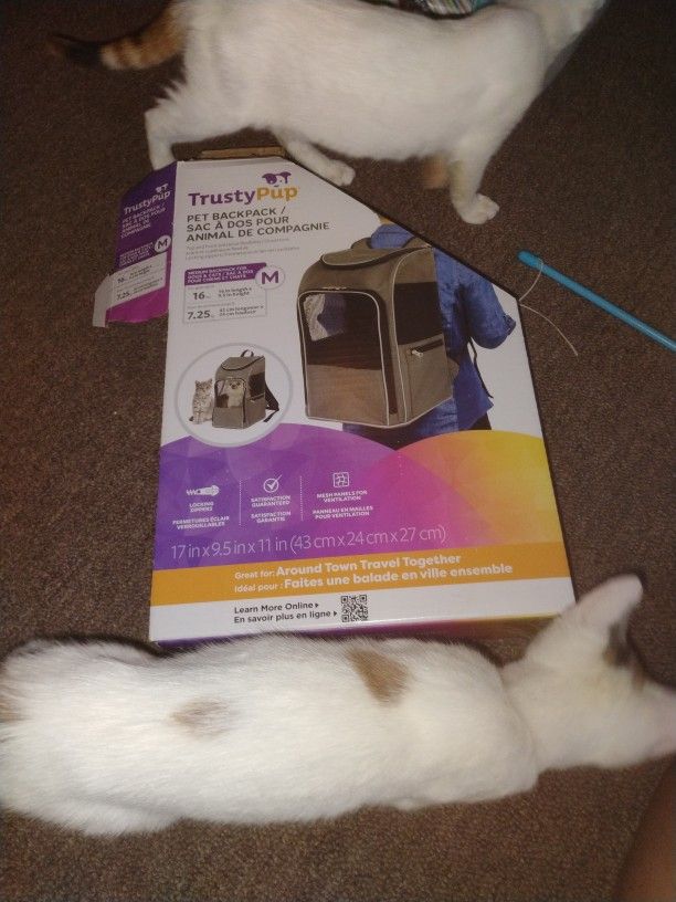 Pet Backpack 