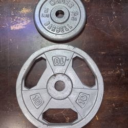 10 Lb And 5 Lb Weight Plates 
