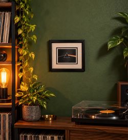 Pink Floyd Dark Side of the Moon Framed Art