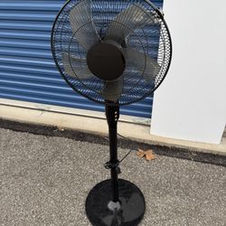  3 -Speed Indoor Black Oscillating Pedestal Fan 