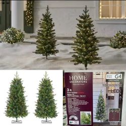 Home Decorators Collection Grand Duchess 3 foot  Twinkling Balsam Fir LED Pre-Lit Trees Set of 2 Indoor and Outdoor Rated G4