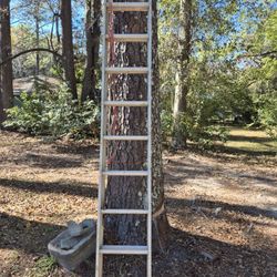 16 Ft. Extension Ladder