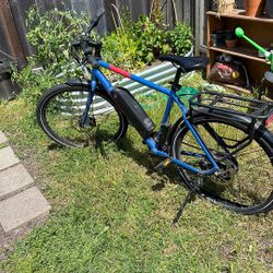 Rad Power Electric Bike