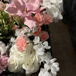 Miscellaneous Flowers.