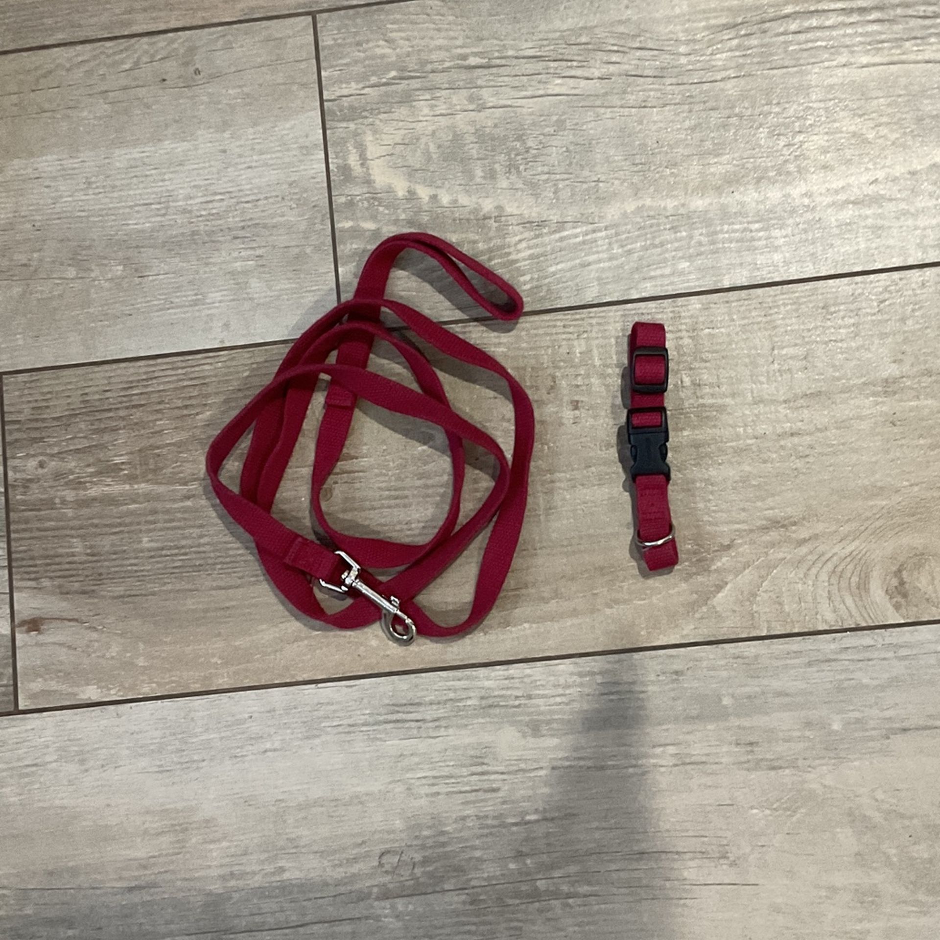 Dog Collar And Leashes 
