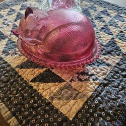 Kitten Glass