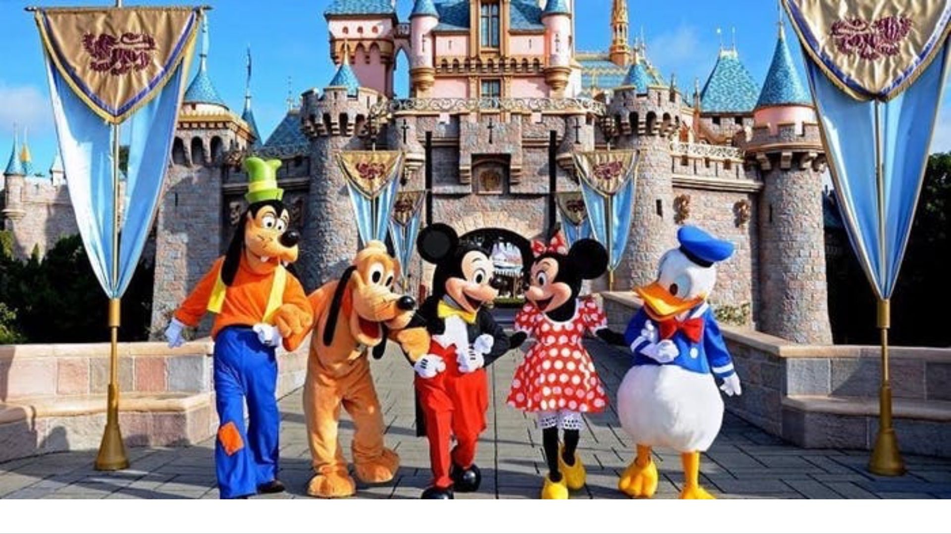 1 ticket para disneyland