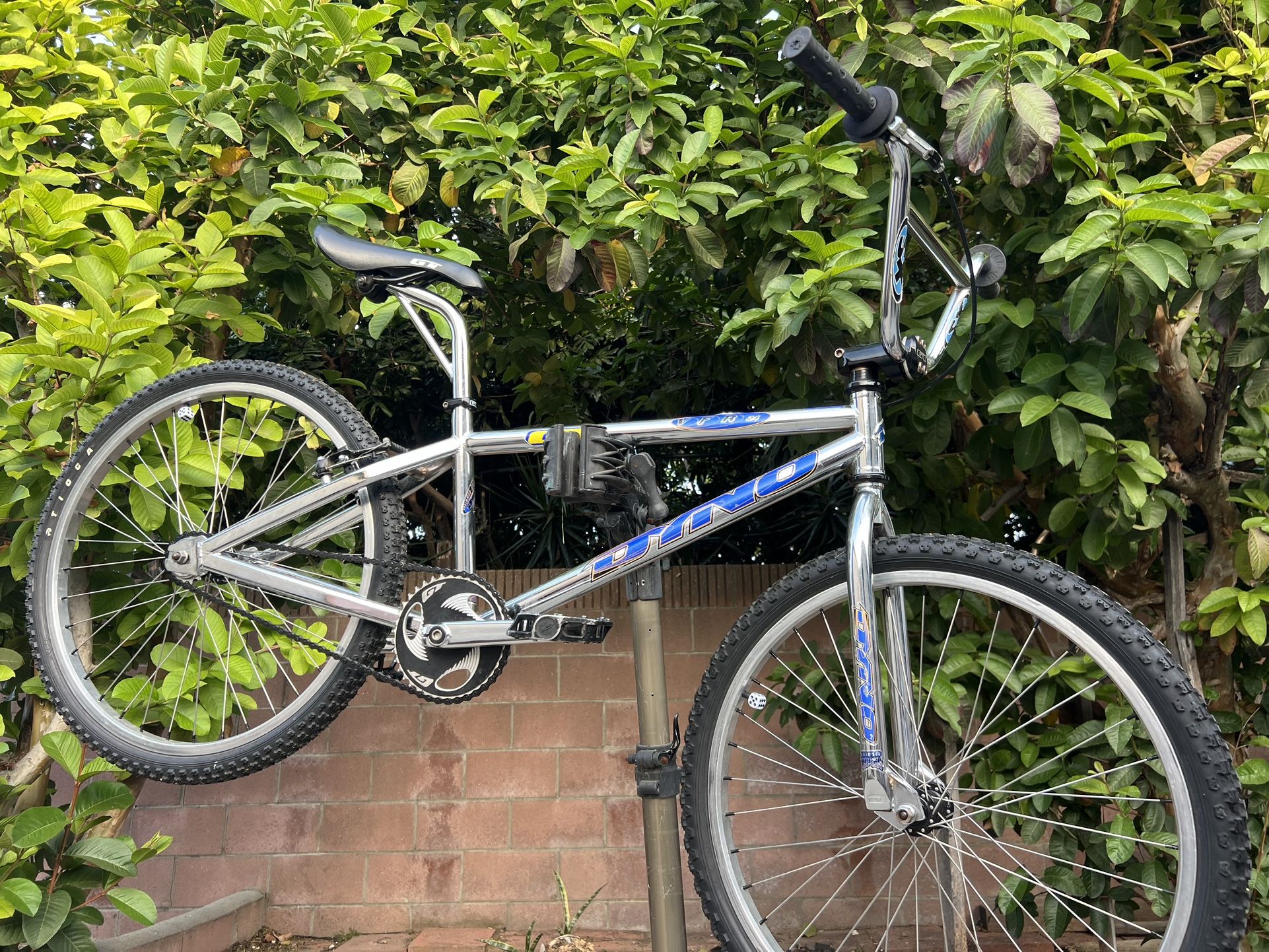 GT Dyno pectin VFR