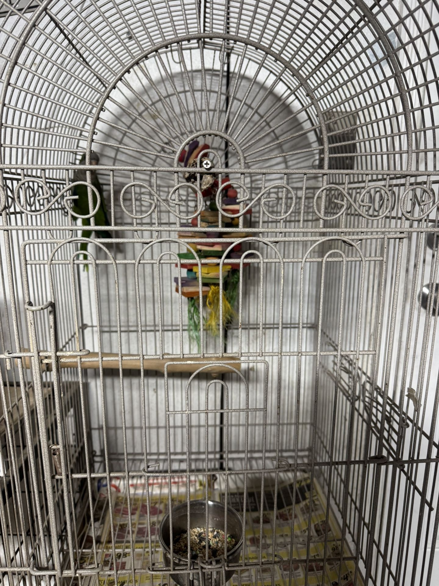 Parot Cage