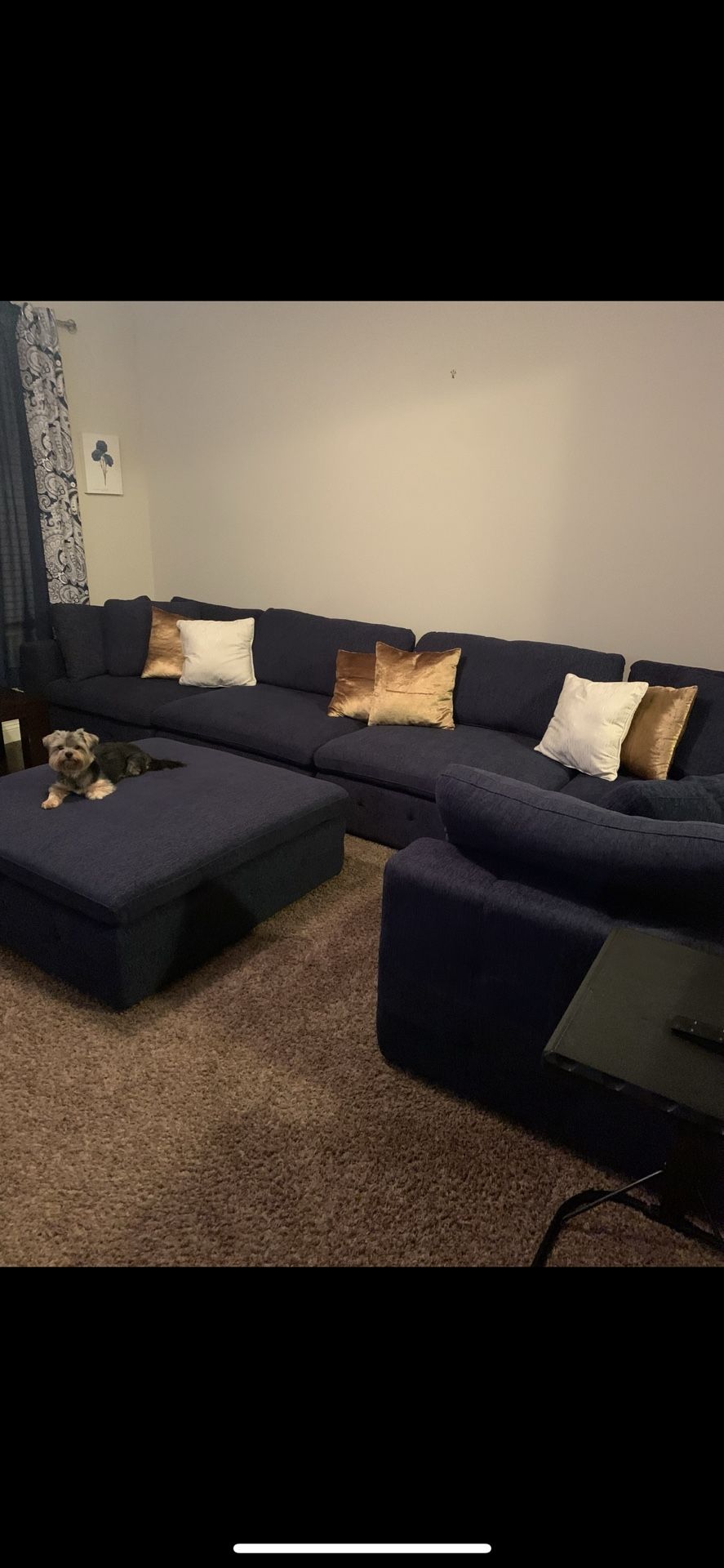 Blue Sectional Couch