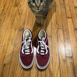 Used vans old skool size 10