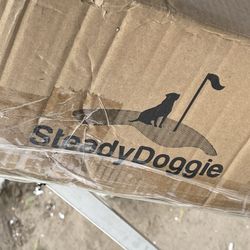 Steady  Doggie 