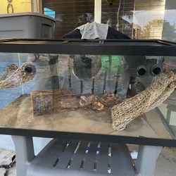 Fish Tank Reptile Tank 