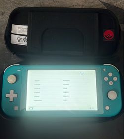 Switch lite