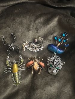 Woman’s Brooches