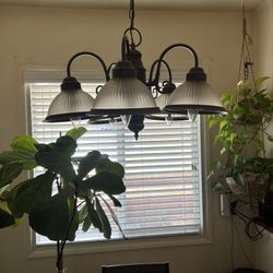 Ceiling Light 