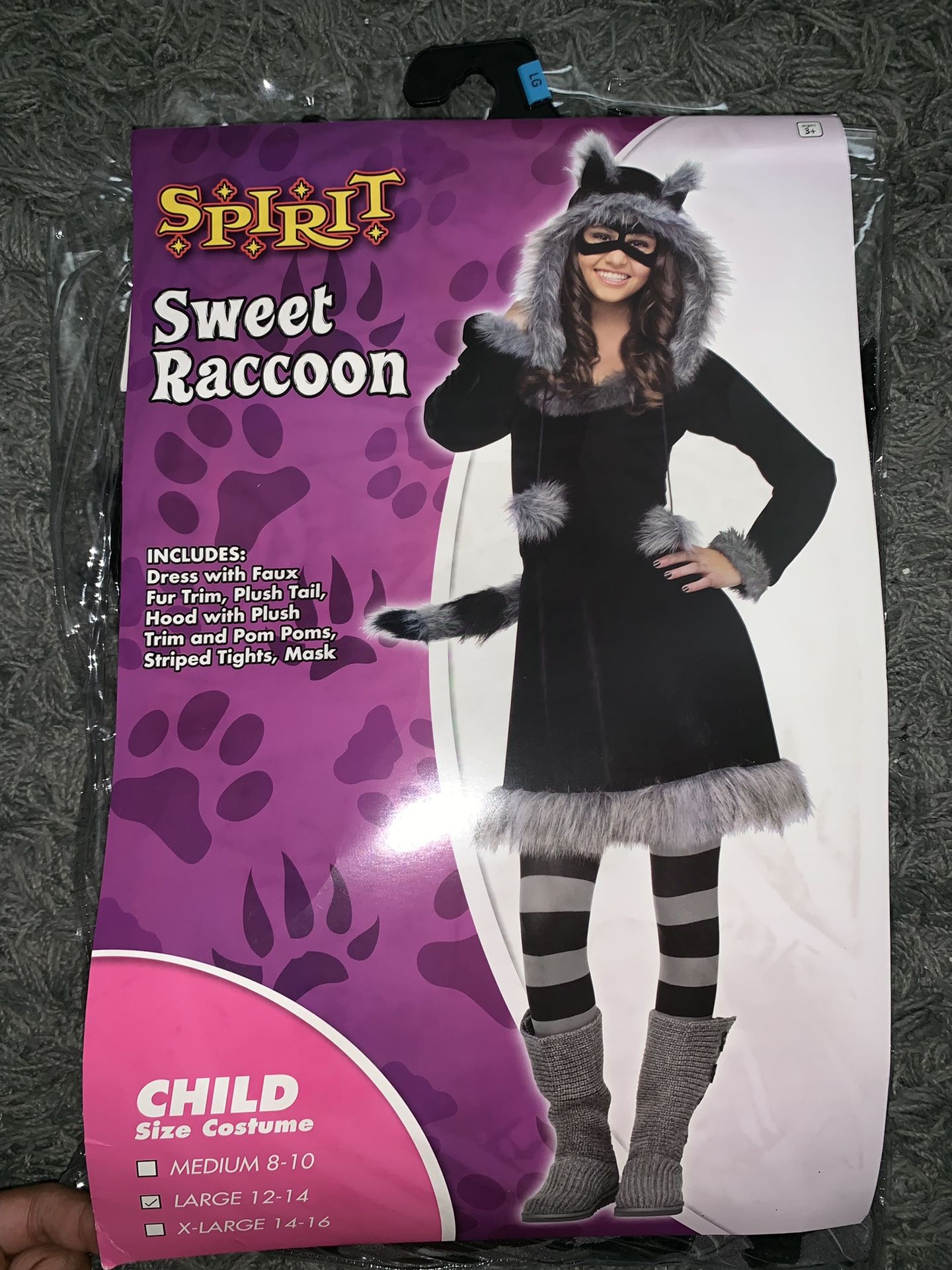 Sweet Raccoon Halloween Costume