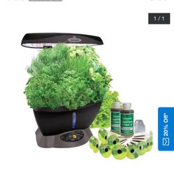 Aerogarden Indoor Plants Growing