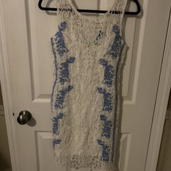 White & Blue Lace Dress