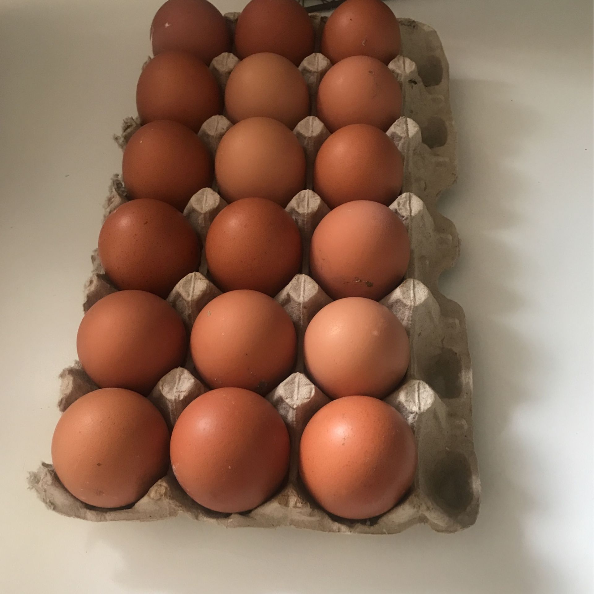 Organic Brown Eggs 
