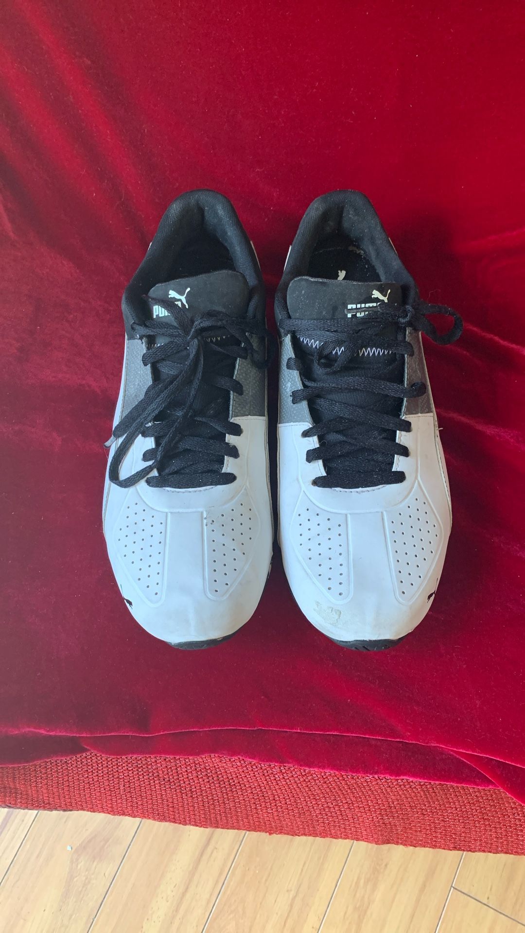 New PUMA SOFTFOAM Tazon Sneaker Synthetic SZ 13