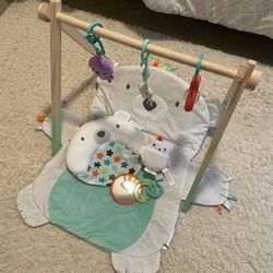 Baby Play Gym and Mat Bundle