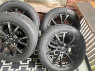 Rines 18s