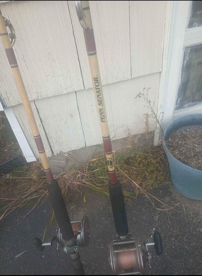 2 Penn senator Fishing Rods