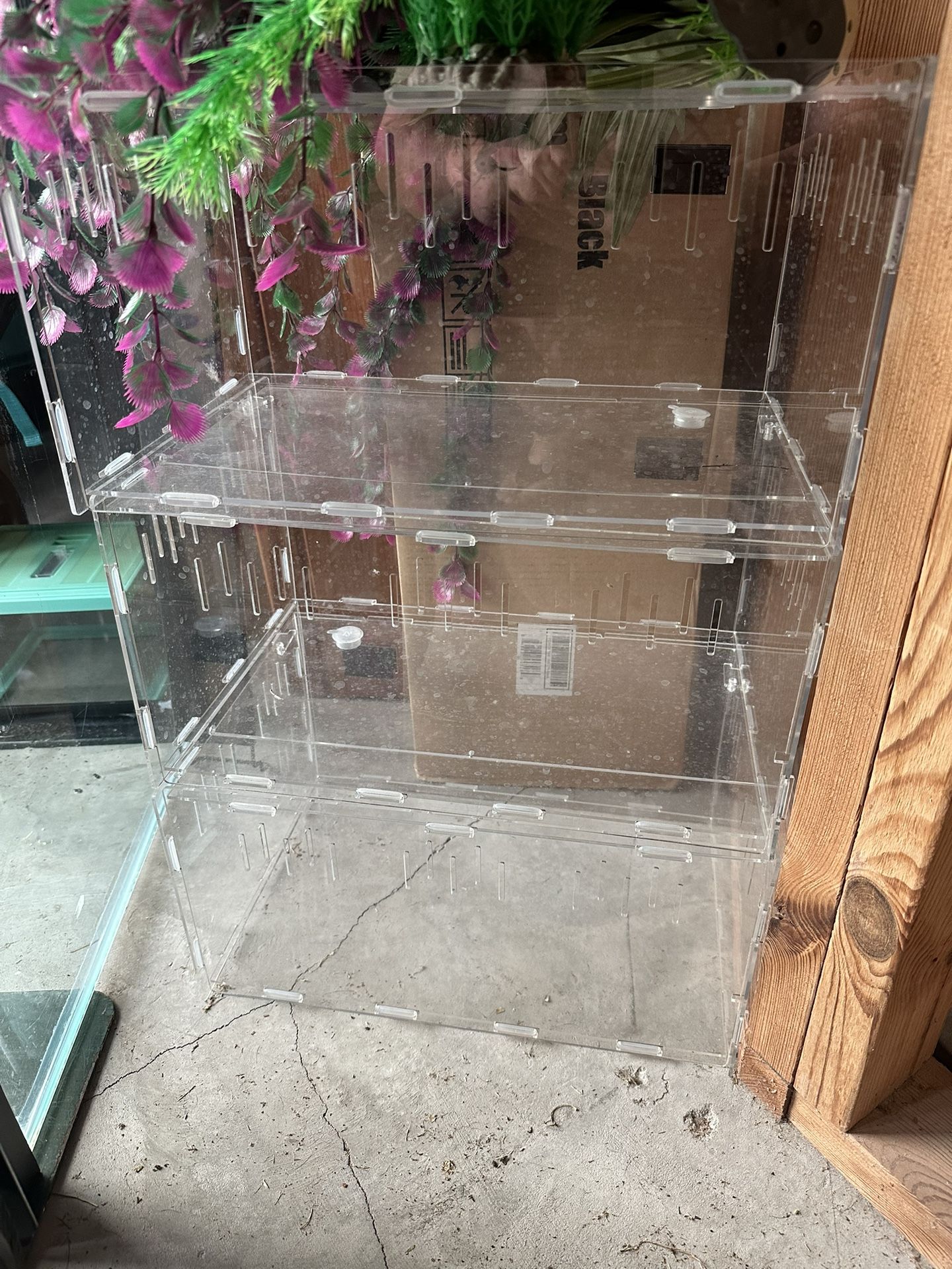 3 Tarantula/ Scorpion Cages $20 Each