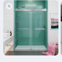 Shower Door