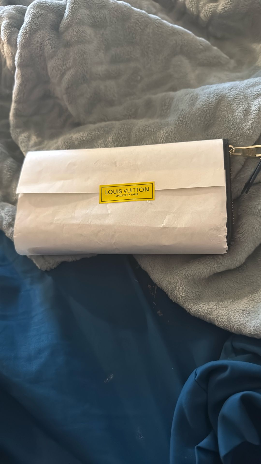 Louis Vuitton Clémence Wallet