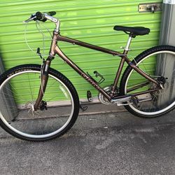 Bike Montain Giant 29"wheels Aluminum Frame L Disc Brakes 