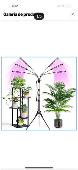 Grow lights 6ft