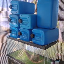 5 Gallon Jugs