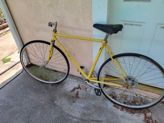 Adult Bicycle 