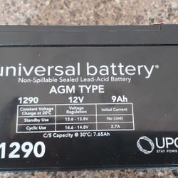Universal Battery AGM Type UB1290