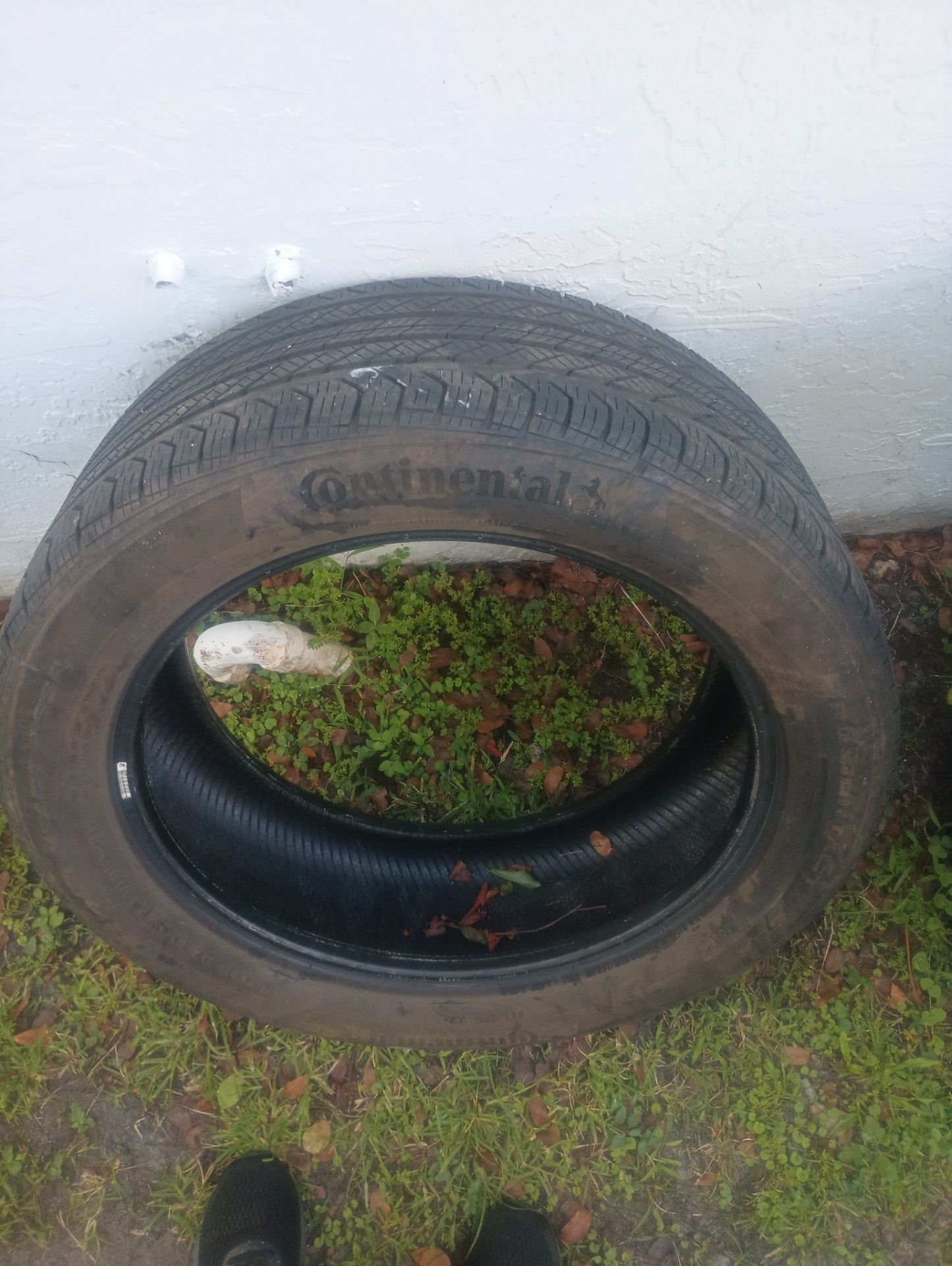 Continental pro contact ex ssr