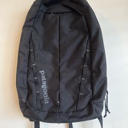 Patagonia Backpack 